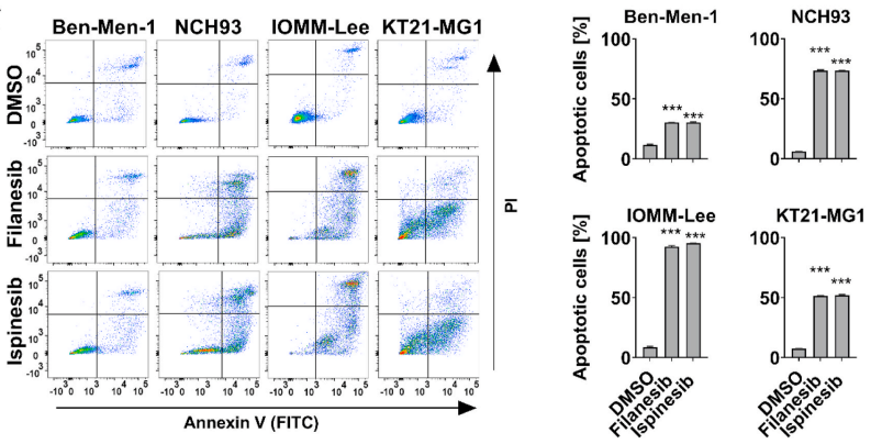 Experimental Validation Results for Filanesib hydrochloride