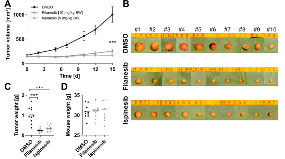 Experimental Validation Results for Filanesib hydrochloride