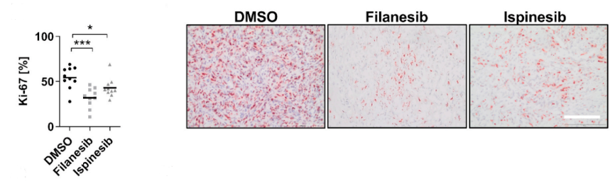 Experimental Validation Results for Filanesib hydrochloride