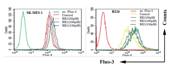 Experimental Validation Results for Fluo-3AM