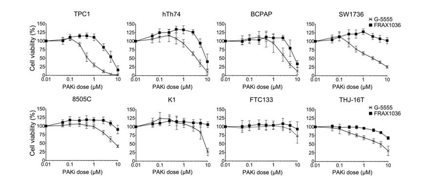 Experimental Validation Results for G-5555 hydrochloride