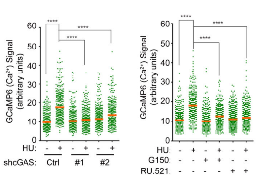 Experimental Validation Results for G150