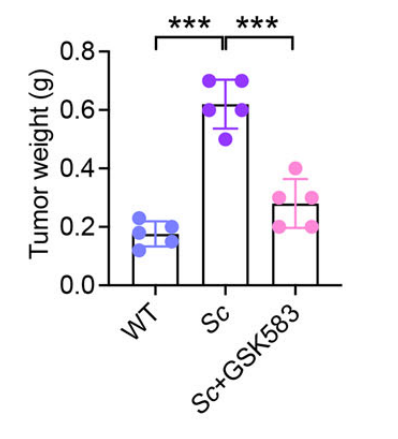 Experimental Validation Results for GSK583