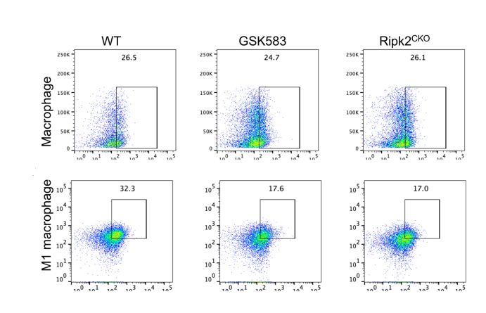 Experimental Validation Results for GSK583