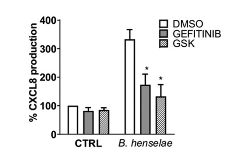 Experimental Validation Results for GSK583