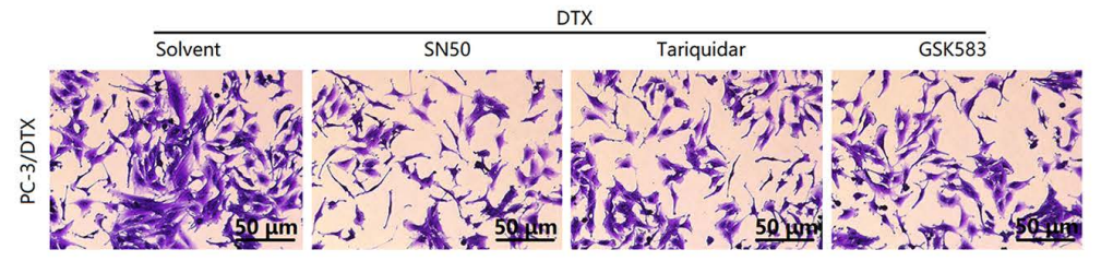 Experimental Validation Results for GSK583