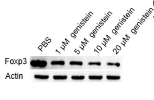 Experimental Validation Results for Genistin