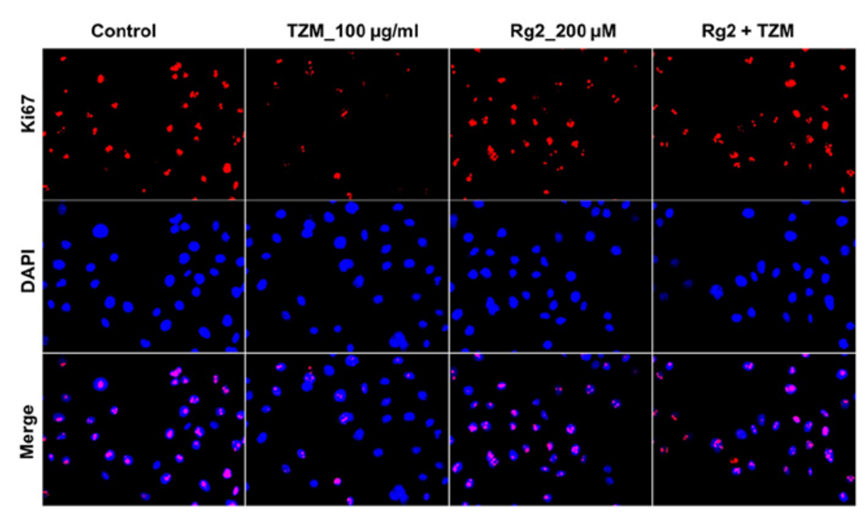Experimental Validation Results for Ginsenoside Rg2