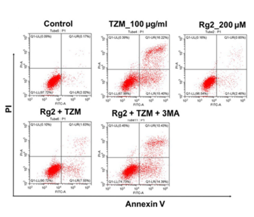 Experimental Validation Results for Ginsenoside Rg2
