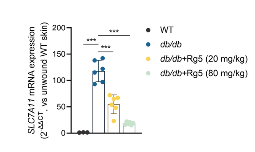 Experimental Validation Results for Ginsenoside Rg5