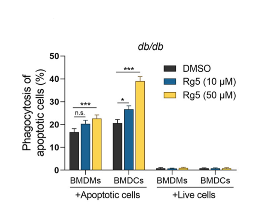 Experimental Validation Results for Ginsenoside Rg5