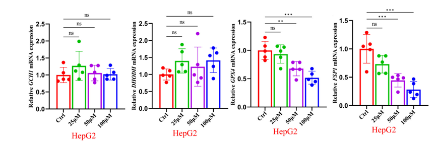 Experimental Validation Results for Ginsenoside Rk1