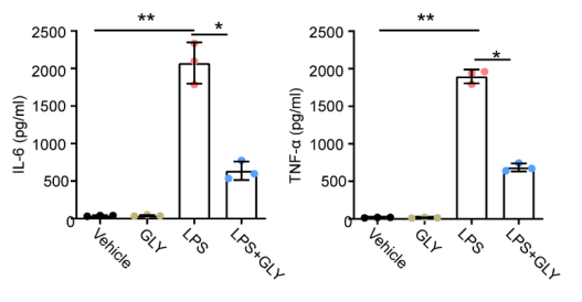 Experimental Validation Results for Glycitein