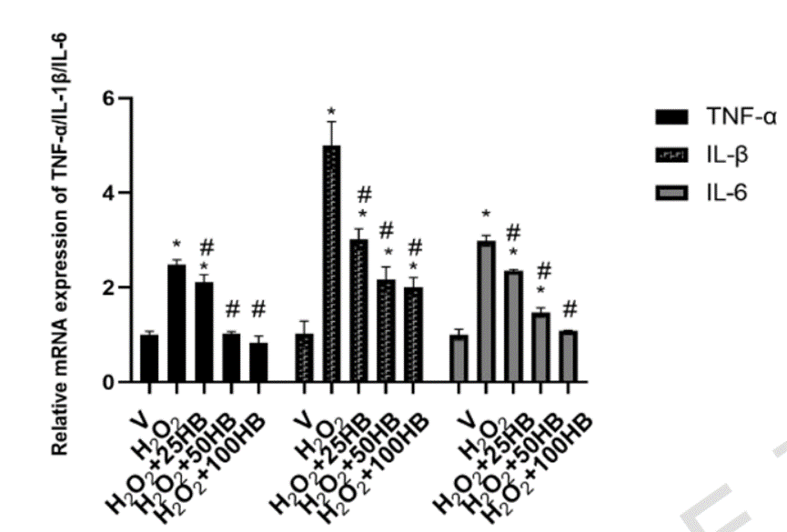 Experimental Validation Results for Heterophyllin B