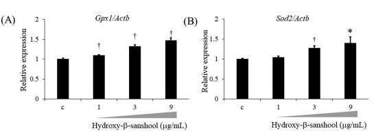 Experimental Validation Results for Hydroxy-α-sanshool