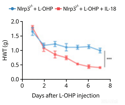 Experimental Validation Results for IL-18 Protein, Mouse (solution)