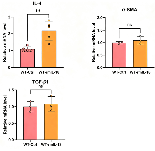 Experimental Validation Results for IL-18 Protein, Mouse (solution)