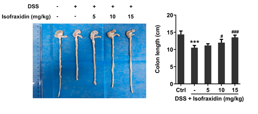 Experimental Validation Results for Isofraxidin