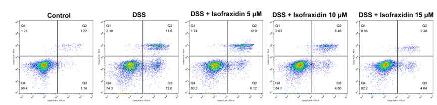 Experimental Validation Results for Isofraxidin