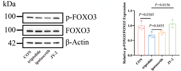 Experimental Validation Results for JY-2