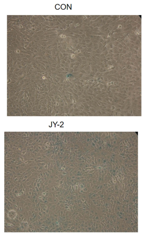 Experimental Validation Results for JY-2