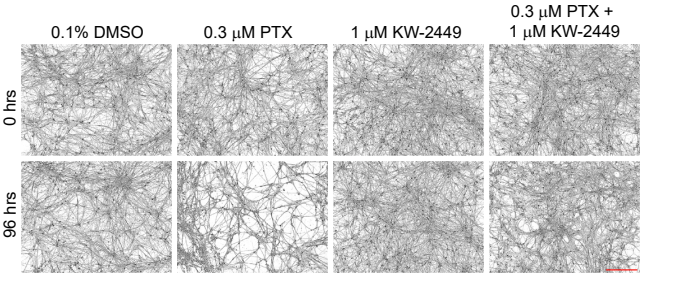 Experimental Validation Results for KW-2449