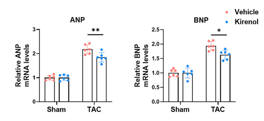 Experimental Validation Results for Kirenol
