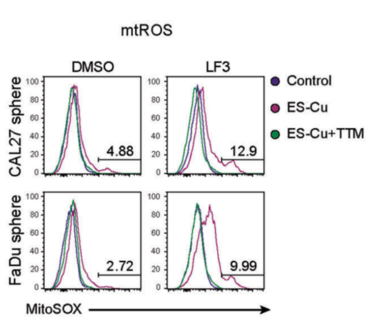 Experimental Validation Results for LF3