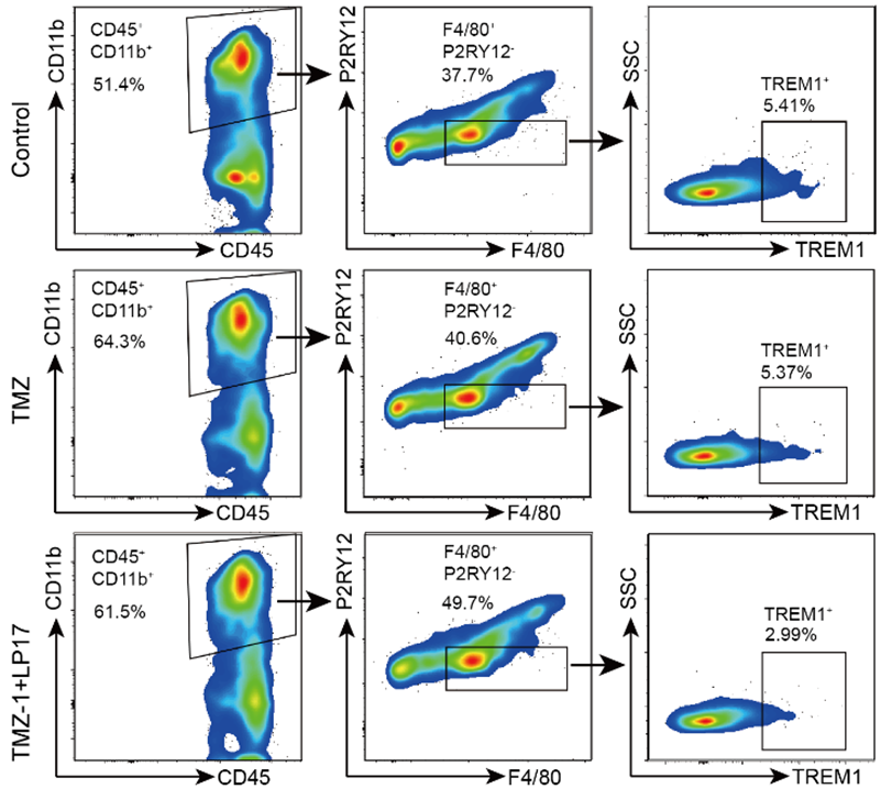 Experimental Validation Results for LP17