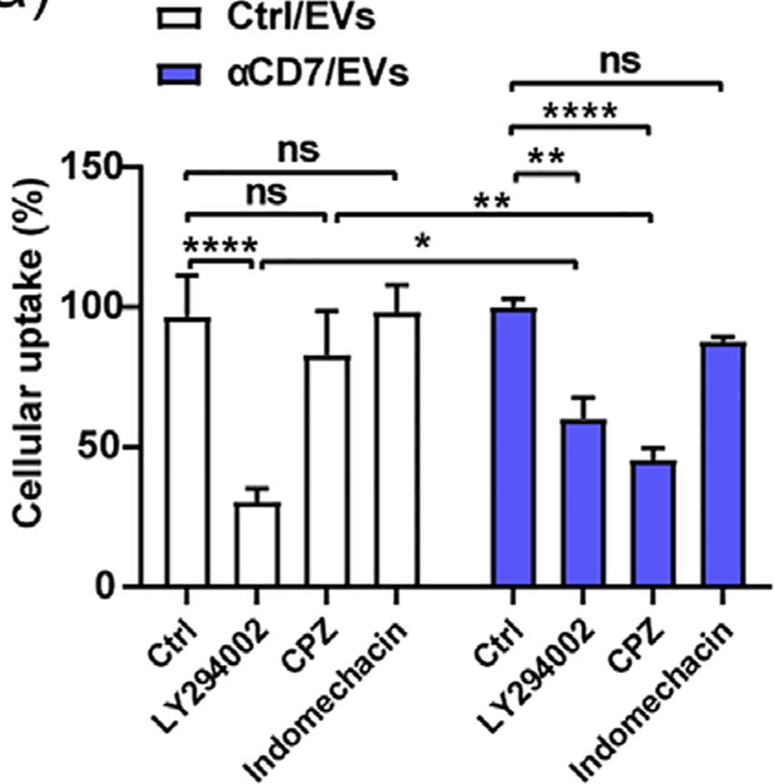 LY294002 | PI3K Inhibitor | MedChemExpress