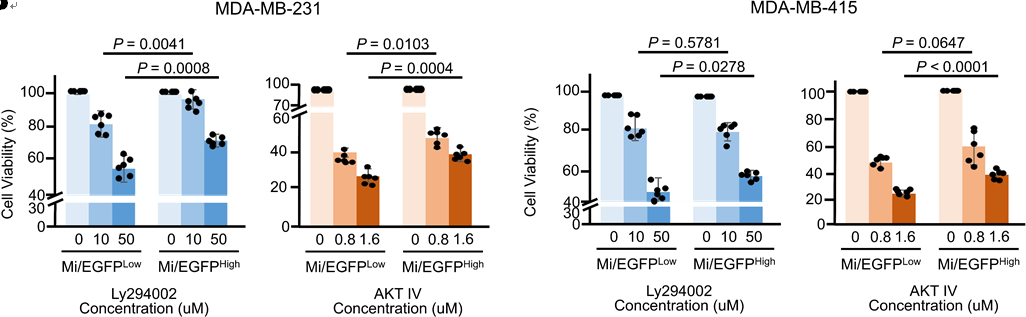 LY294002 | PI3K Inhibitor | MedChemExpress