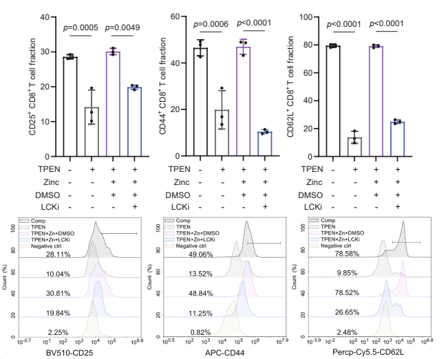 Experimental Validation Results for Lck Inhibitor