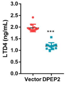 Experimental Validation Results for Leukotriene D4