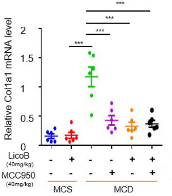 Experimental Validation Results for Licochalcone B