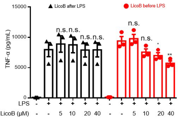Experimental Validation Results for Licochalcone B