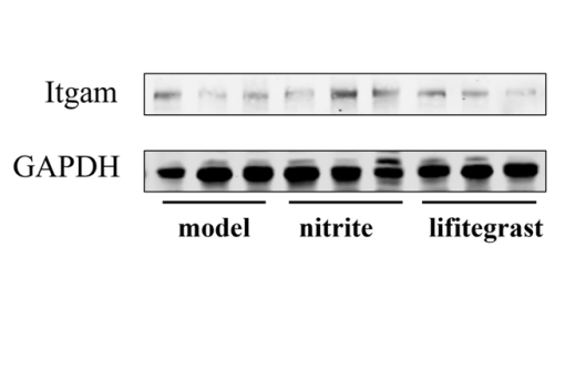 Experimental Validation Results for Lifitegrast