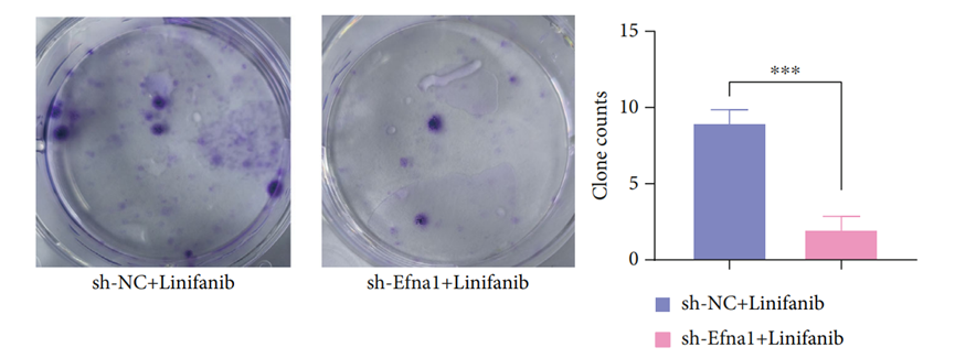 Experimental Validation Results for Linifanib