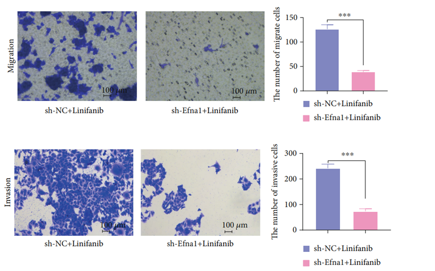 Experimental Validation Results for Linifanib