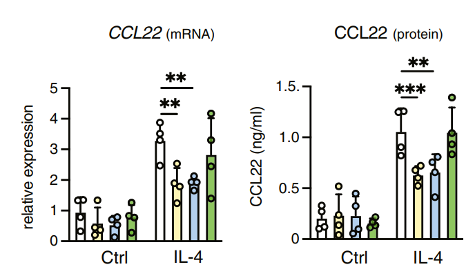 Experimental Validation Results for Linrodostat mesylate