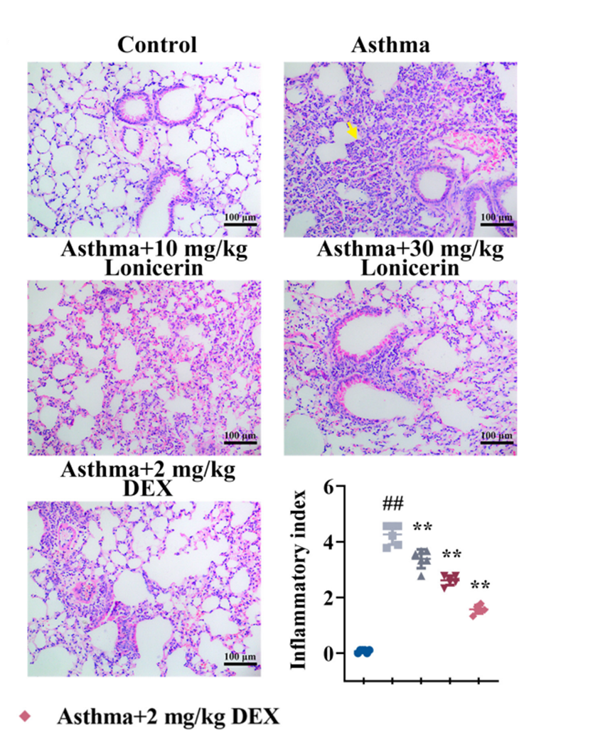Experimental Validation Results for Lonicerin