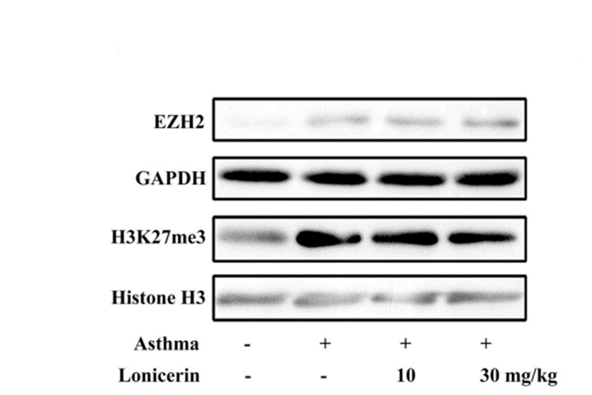 Experimental Validation Results for Lonicerin