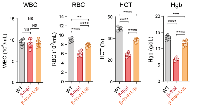Experimental Validation Results for Luspatercept