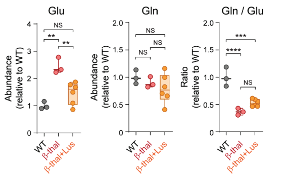 Experimental Validation Results for Luspatercept