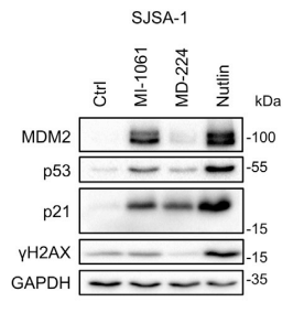 Experimental Validation Results for MD-224