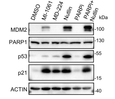 Experimental Validation Results for MD-224