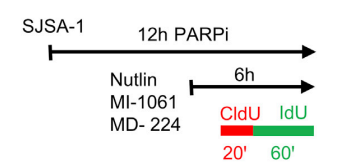 Experimental Validation Results for MD-224
