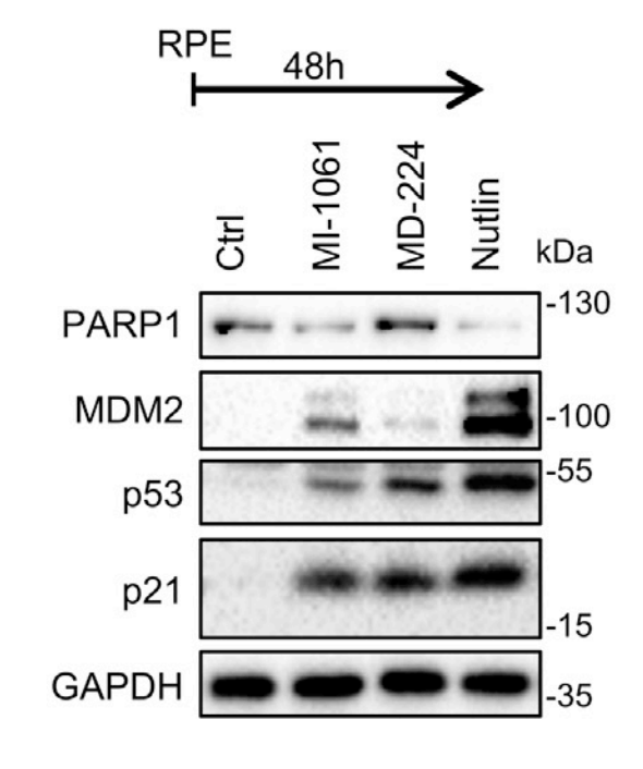 Experimental Validation Results for MD-224