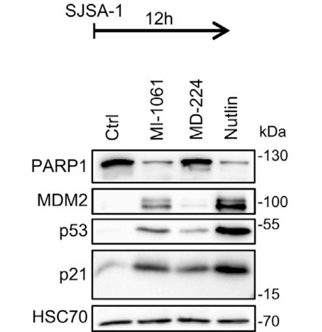 Experimental Validation Results for MD-224