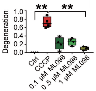 Experimental Validation Results for ML-098