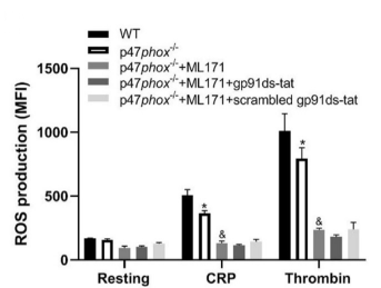 Experimental Validation Results for ML171